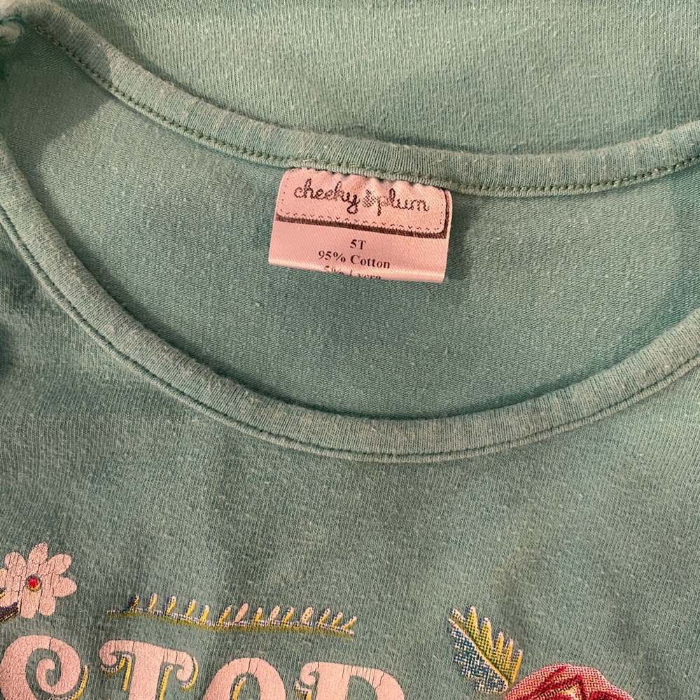 Girl’s boutique top, size 5T